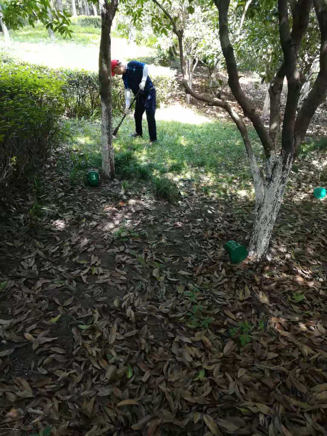 南湖革命紀(jì)念館白蟻滅治(圖2)