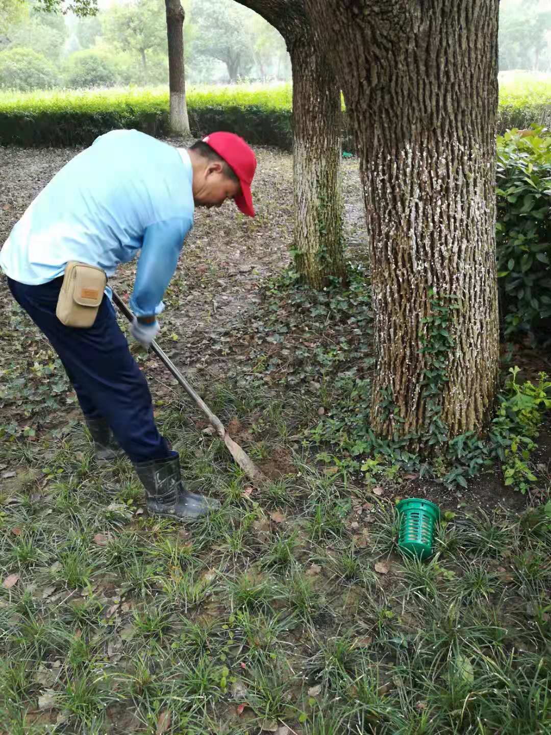 南湖革命紀(jì)念館白蟻滅治(圖3)